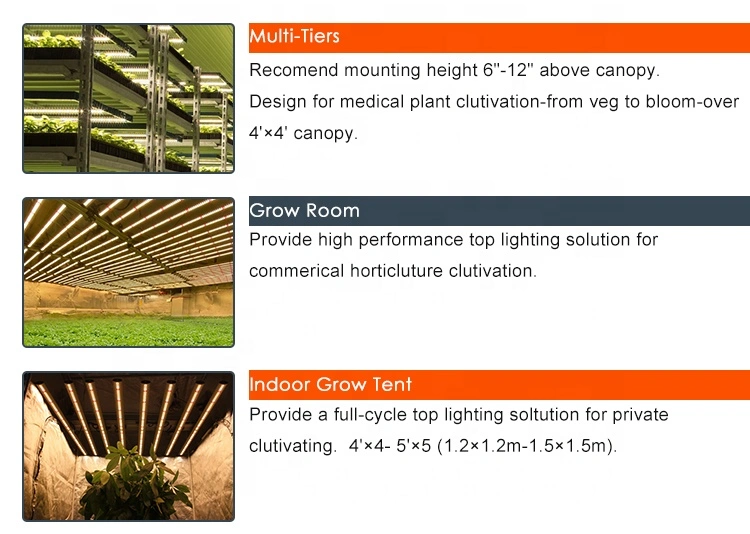 Full Spectrum LED Grow Light Bar 320W 640W 800W 1000W Indoor Medical Plant LED Grow Light