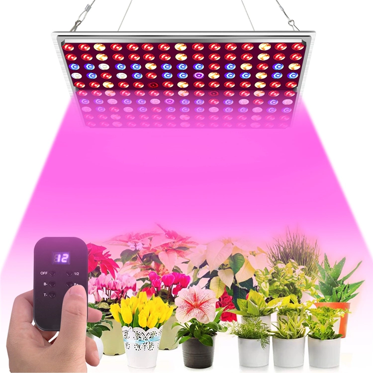 Shenzhen Factory Supply 2020 Wholesale Grow Equipment Full Spectrum 300W LED Grow Light for Indoor Plant