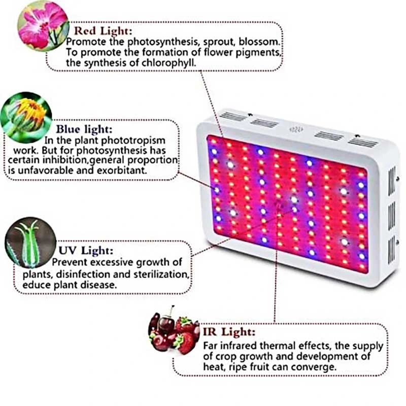 2021 Full Spectrum LED Grow Light for Indoor Hydroponic LED Greenhouse Lamp 150W LED Grow Light