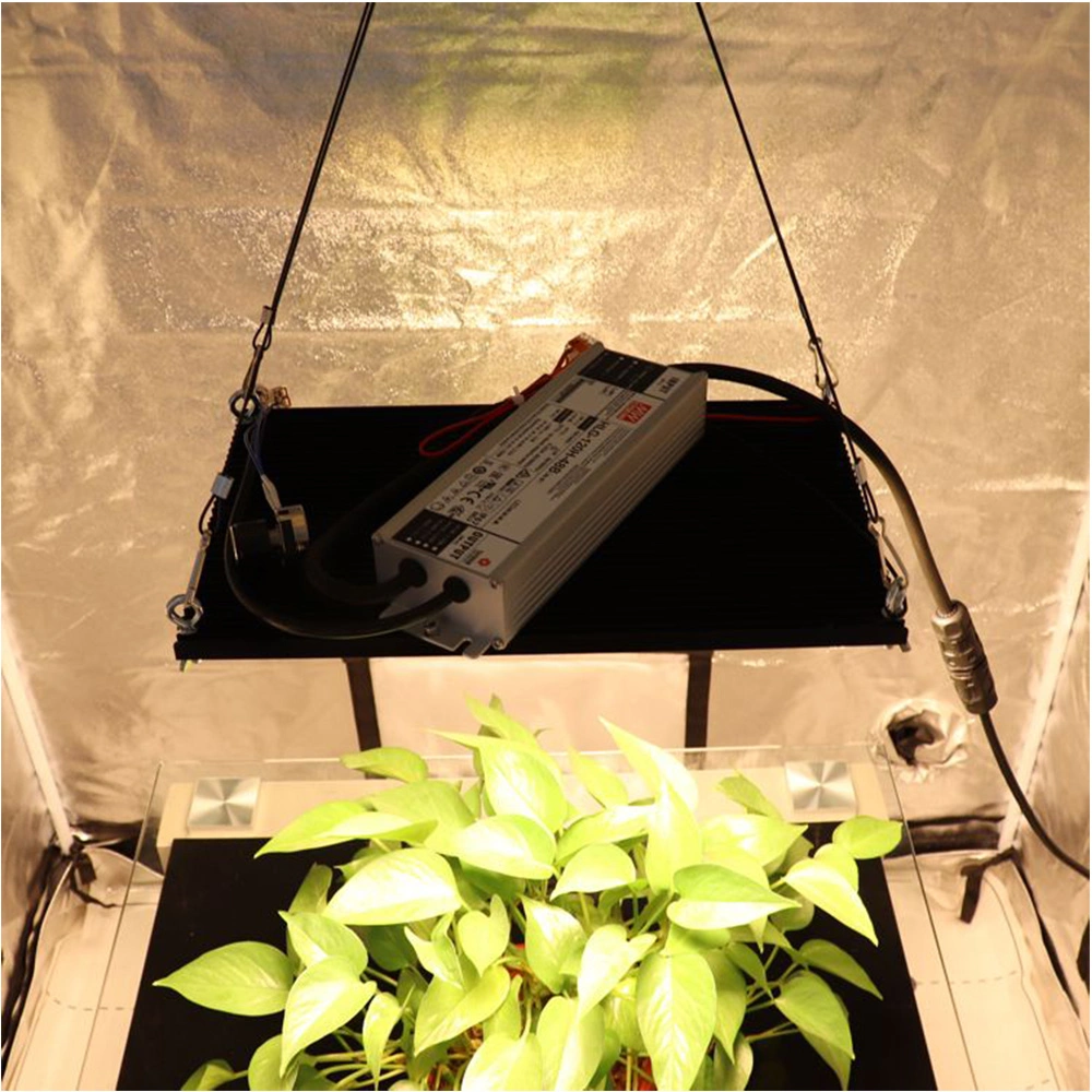 Full Spectrum120W LED Grow Light for Indoor Grow Tent