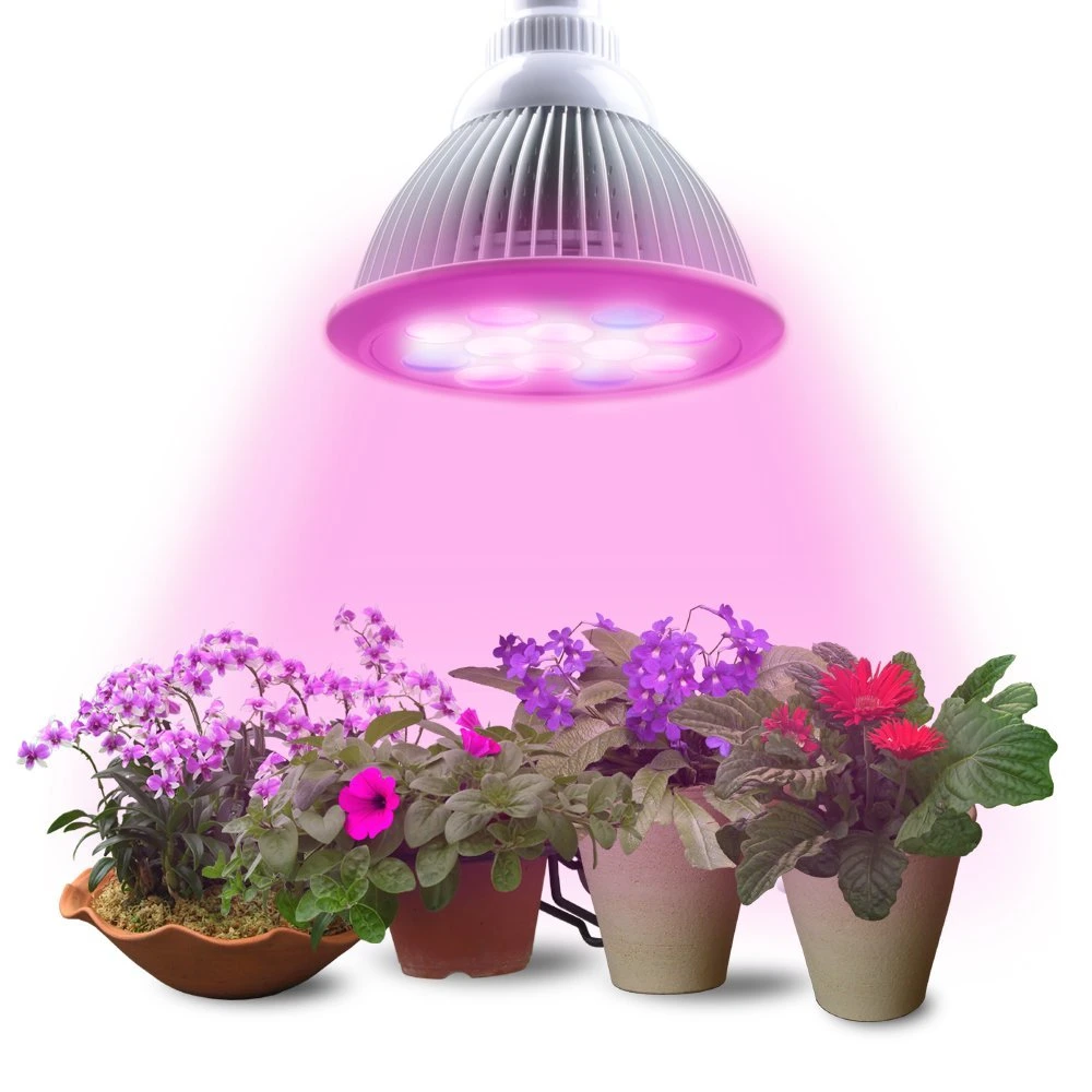 24W Full Spectrum LED Grow Lamp LED Plant Grow Light