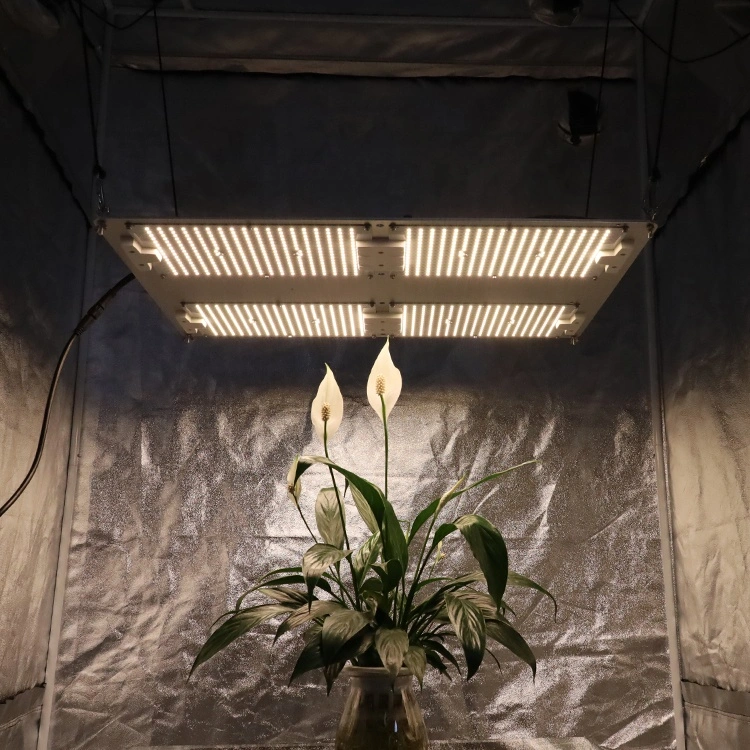 480W 600W 660nm UV IR 3000K LED Grow Light Full Spectrum Indoor Plant Grow Light White for Indoor Plant