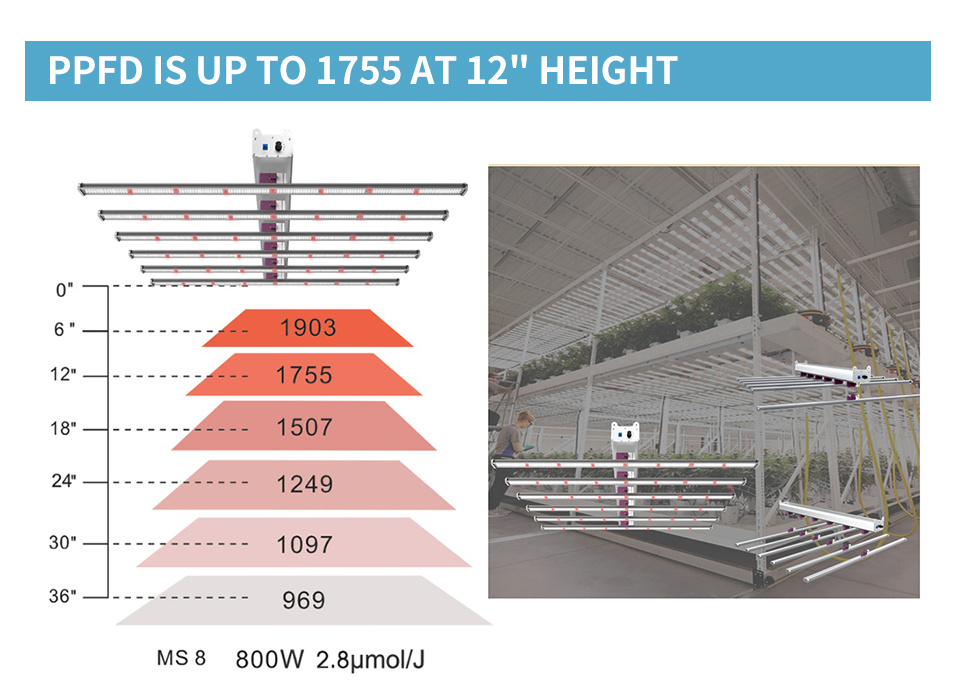 100-277V Dlc 500W Grow Light for Indoor House Plant Greenhouse, Full Spectrum LED Grow Light Bulbs Ratio of Absorption