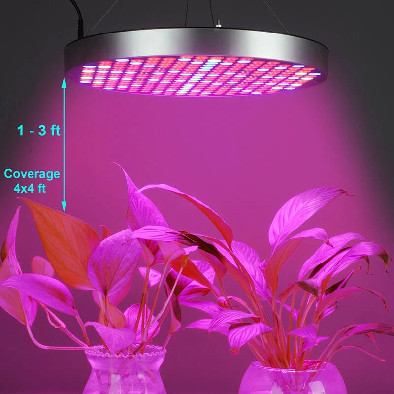 Full Spectrum Grow Light LED for Greenhouse Flowers Farm LED Grow Light 50W