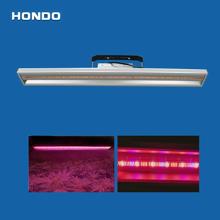 Indoor Full Spectrum Grow Lights 400W Hydroponic LED Grow Lighting
