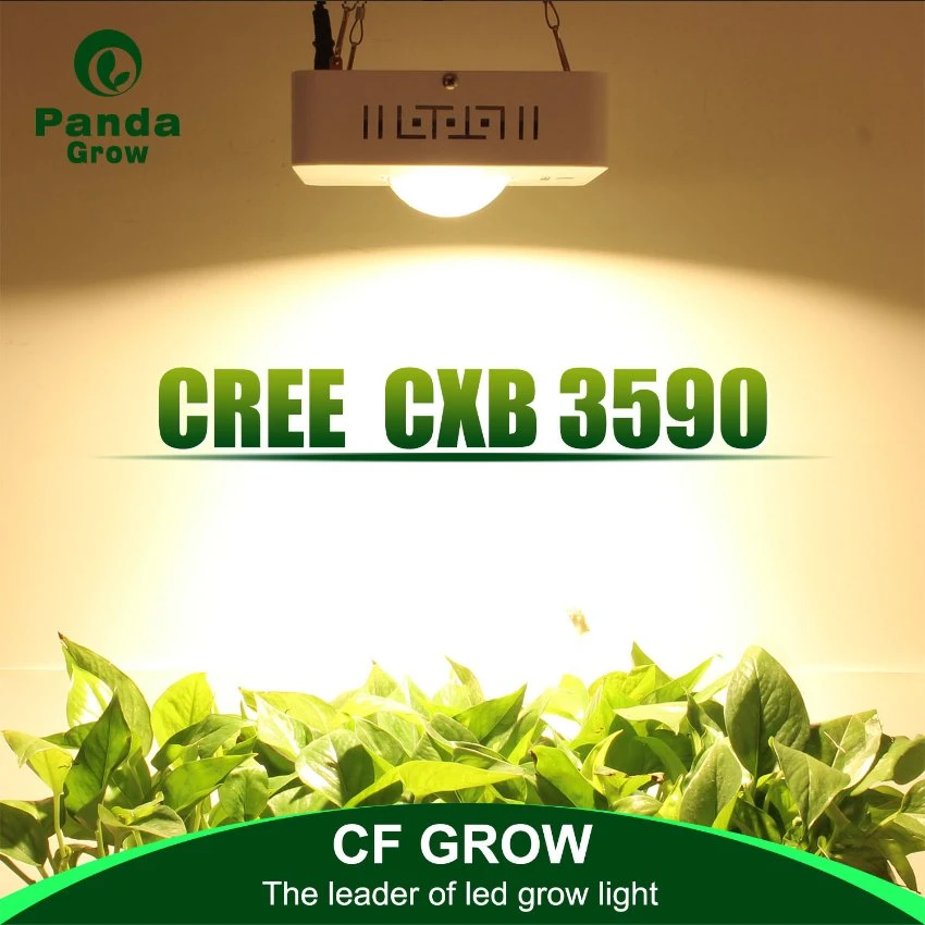 Manufacturer 100W Meanwell COB LED Grow Lights Full Spectrum Horticultural Agriculture CREE Cxb3590 LED Grow Light Plants