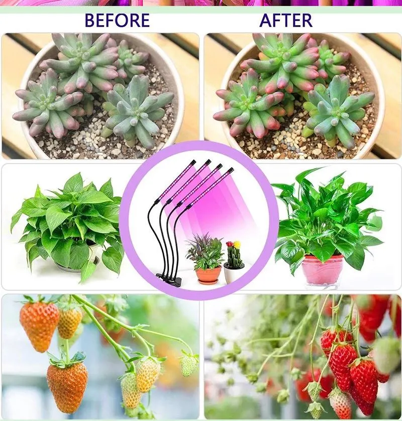 High Power LED Grow Light for Fruit