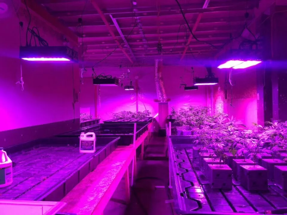 210W LED Grow Light Full Spectrum for Indoor Plants Veg and Flower