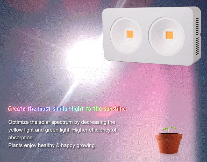 COB 400W Full Spectrum LED Grow Light for Greenhouse Hydroponic Indoor Garden Growing Flowers