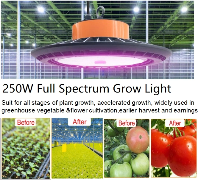 LED Grow Light 1000W Plant Light Full Spectrum Growing Lamps for Indoor Plants Hydroponic Greenhouse