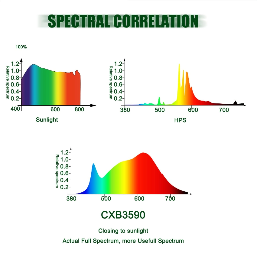 Custom Light Spectrum LED Grow Light for Indoor Plants 100 Watt Cxb3590 COB Grow Light