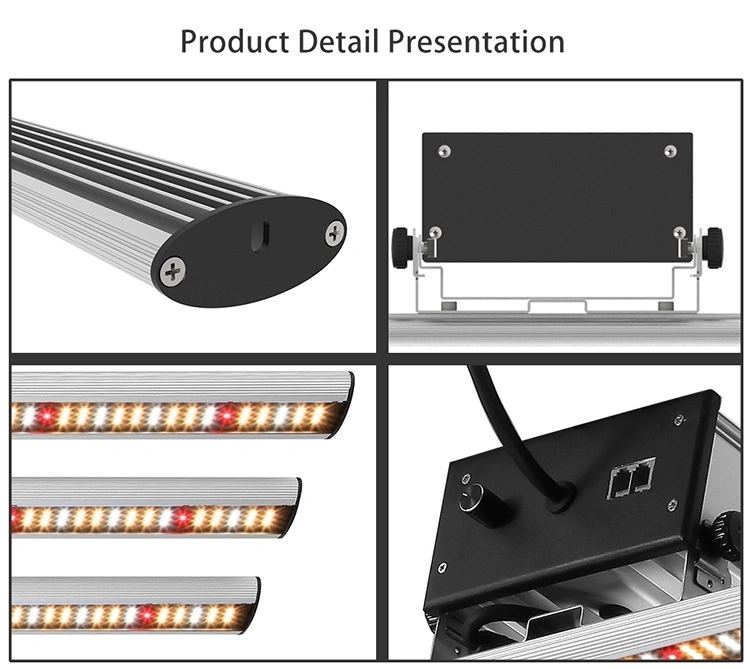 640W 800W 1000W Samsung Lm301b LED Grow Light Horticulture Cultivation 720W LED Grow Light Bar