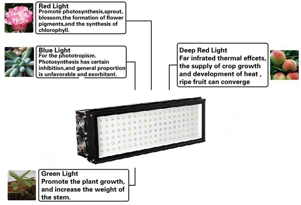 210W Crop Growing Light LED Greenhouse UL Approved