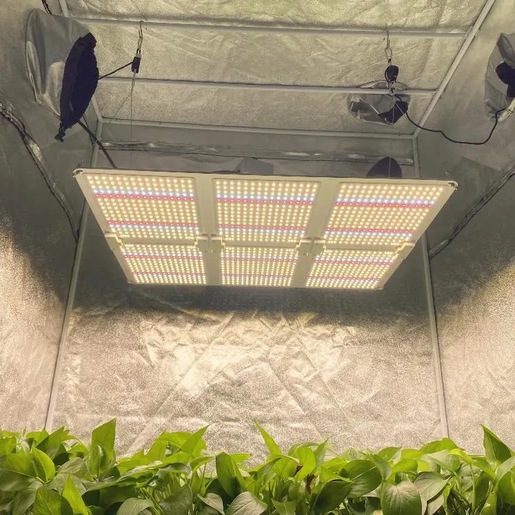 Full Spectrum LED Grow Light 110W 220W 440W 660W Quantum Panel Greenhouse Hydroponics Plant Grow Lamp Indoor Grow Light