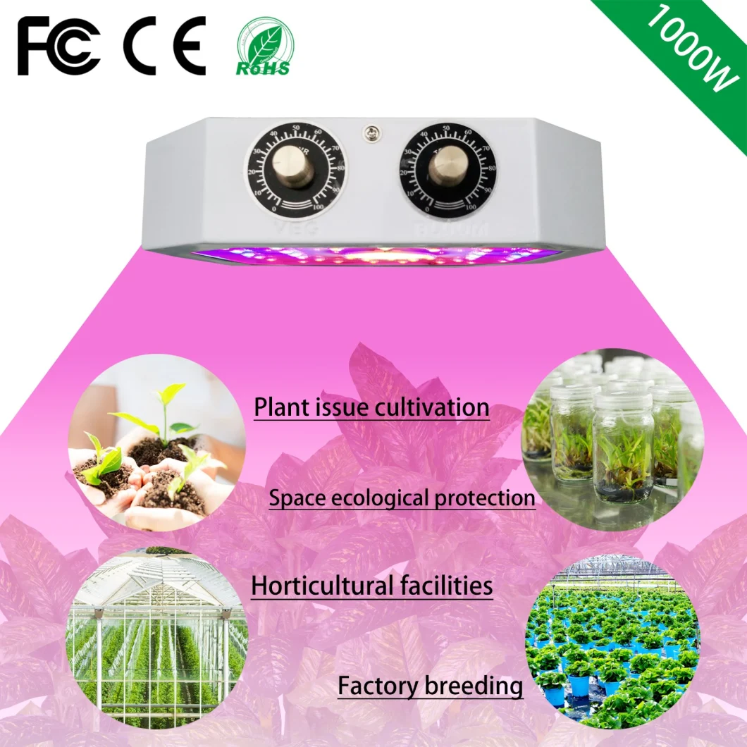 1500W Full Spectrum COB Indoor LED Plants Hydroponics Grow Lights for Indoor Plant