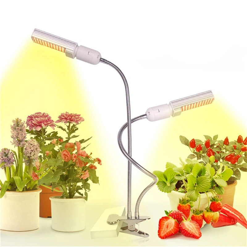 Amazon Hot Sale Full Spectrum LED Grow Light for Indoor Plant Plants