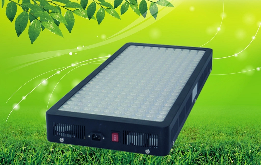 Energy Saving LED Grow Light 1200W with Vegetable and Bloom