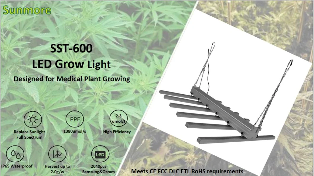 Wholesale Full Spectrum 600W Samsung Lm301h & Osram High Power LED Grow Light for Plants Tube Lighting Lamp with UL