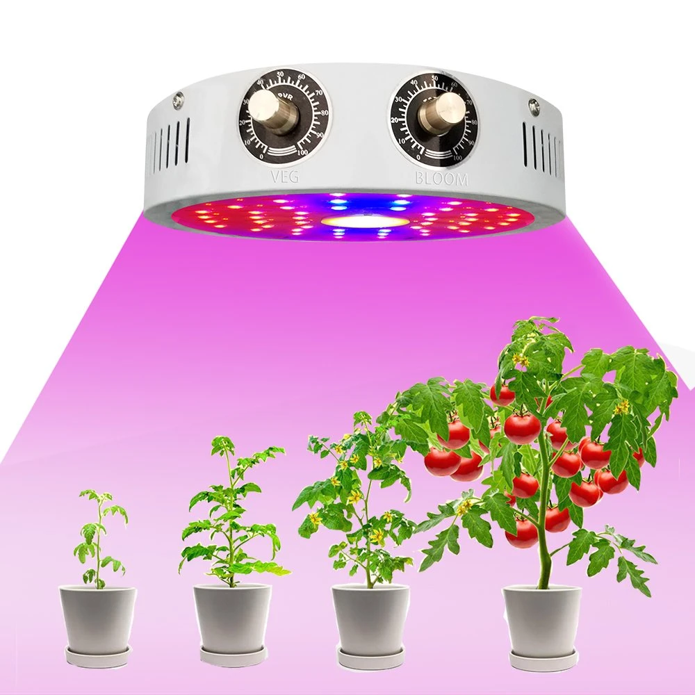 1000W Full Spectrum Grow Lamps COB LED Grow Lights Hydroponics Indoor Plants