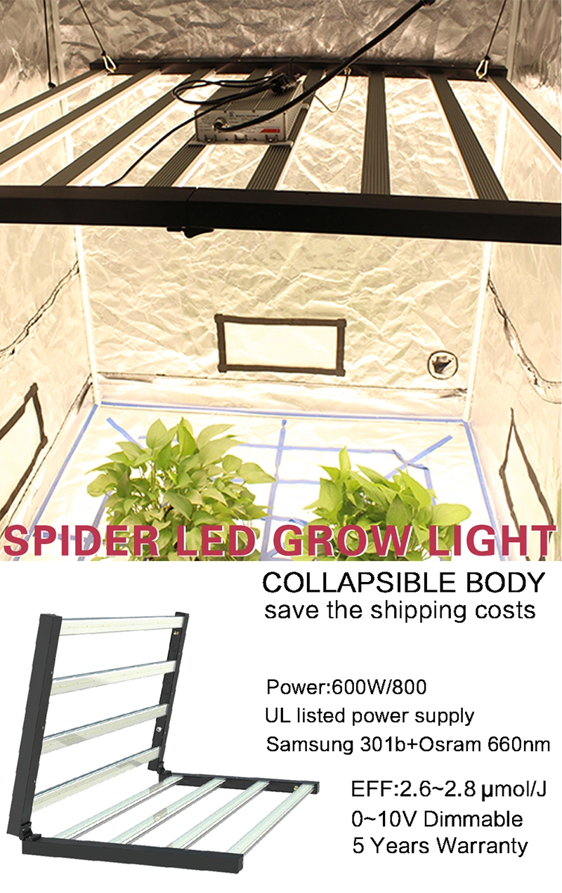 LED Grow Light Full Spectrum for Greenhouse and Indoor Plant Flowering Growing Lamp 600W