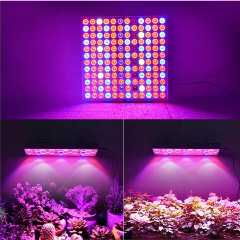 Indoor Hydroponics Plants LED Grow Light for Green Plant Herbs Growth LED Bulbs Lamp