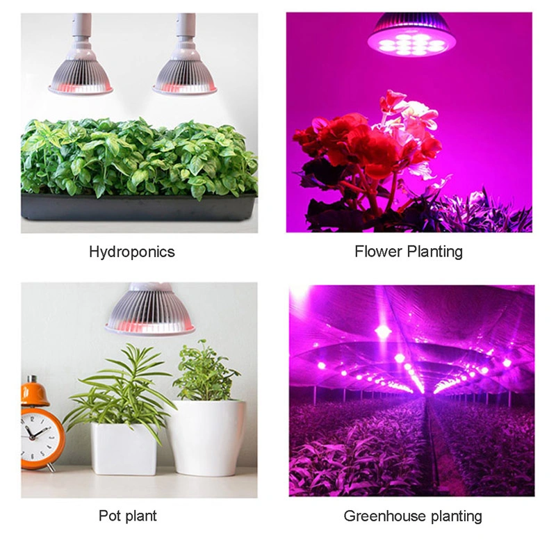 12W E27 LED Bulb Shenzhen LED Grow Light for Greenhouse Planting