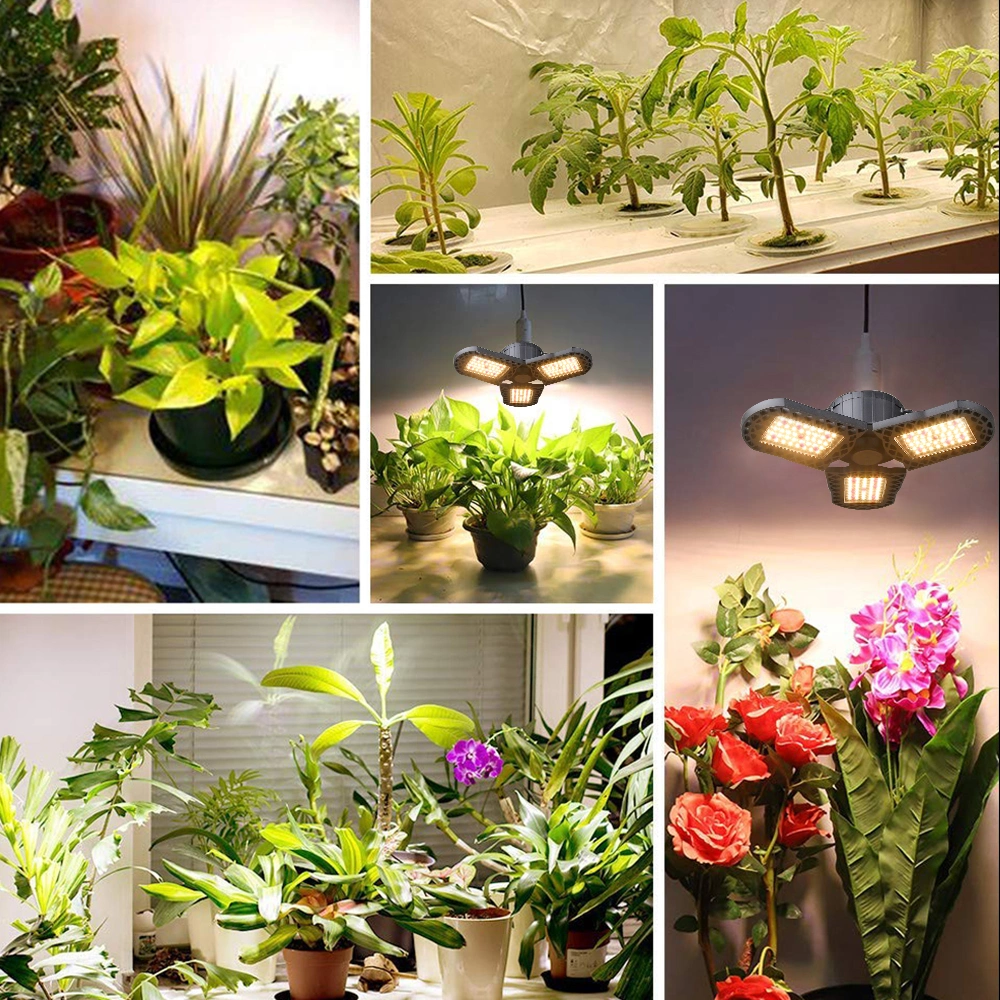 Veg Bloom IR&UV Dual Chips 10W LEDs Grow Light with Full Spectrum for Plant Light