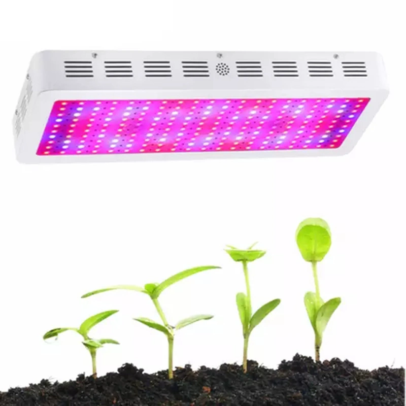 300 Watt Full Spectrum Best Lights Fixture for Indoor Growing Plant LED Grow Light