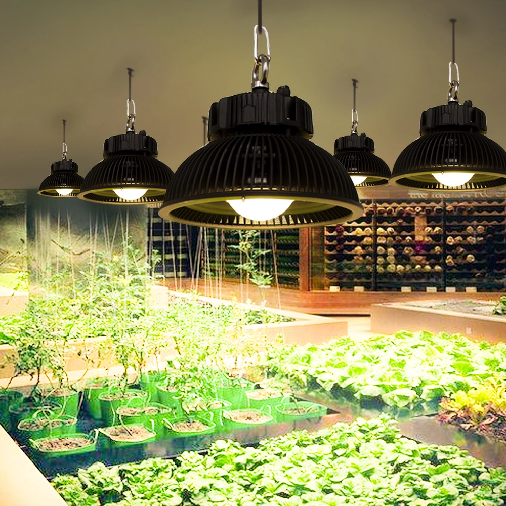 Hot Products Top Amazon Sale Cxm32 Gen4 COB Grow Light for Indoor Plant Full Spectrum LED Grow Light