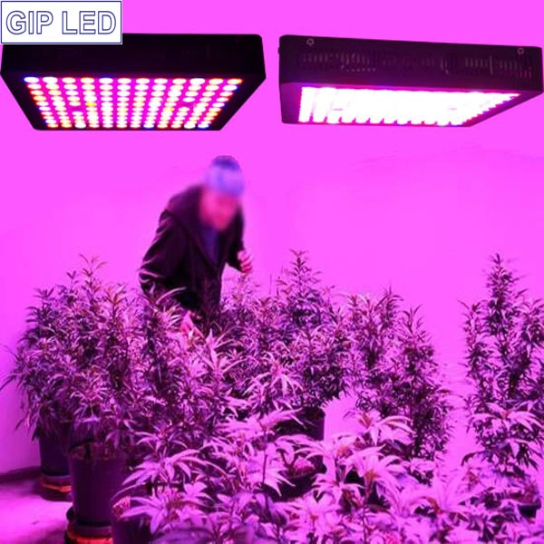 900W LED Grow Light Full Spectrum for Indoor Plants Flowers