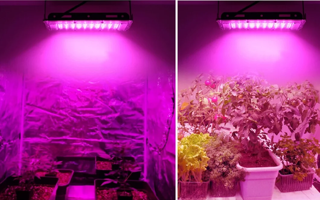 LED Grow Light Full Spectrum LED Plant Light for Indoor Plants Seed Flowers