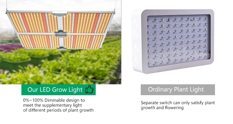 High Power Full Spectrum LED Grow Lights 4800W 6000W Watt Plants Growing Lights Quantum Panel Indoor Grow Lamp COB LED Plant Grow Light
