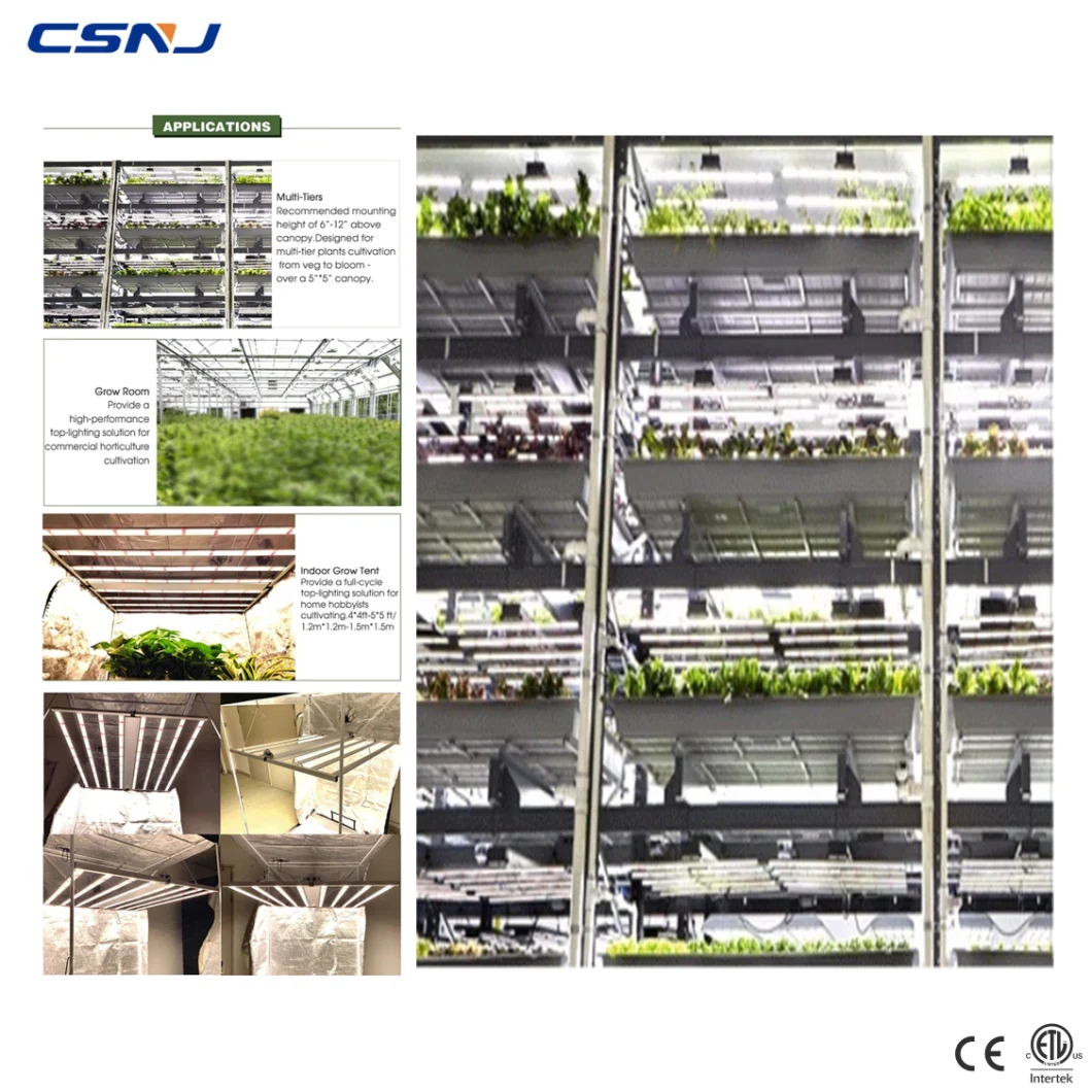2020 600W Best LED Plant Light Indoor Plant Growing