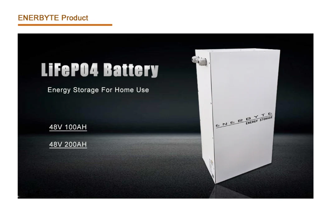 Solar Energy Battery Pack 48V 100ah LiFePO4 Battery/Lithium Polymer Battery/Solar Energy Battery/Stoarge Battery