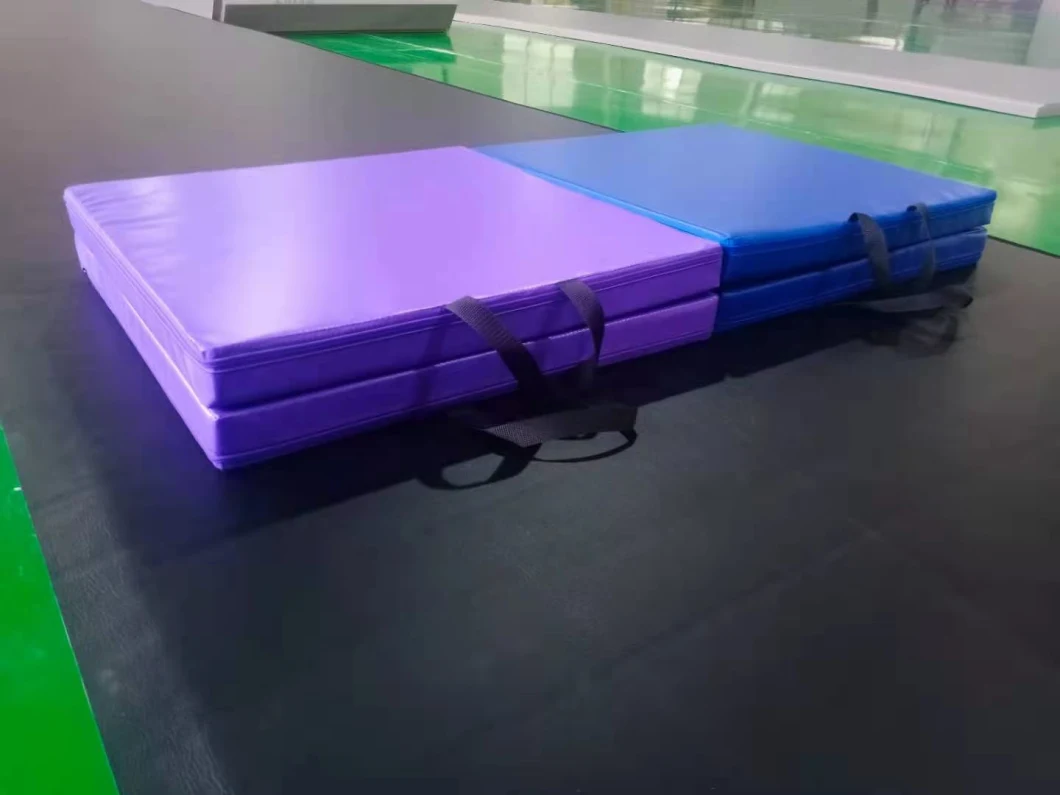 Protective Mats Wrestling Carpet Gymnastics Mat for Sale Cheap Price XPE Eco Friendly