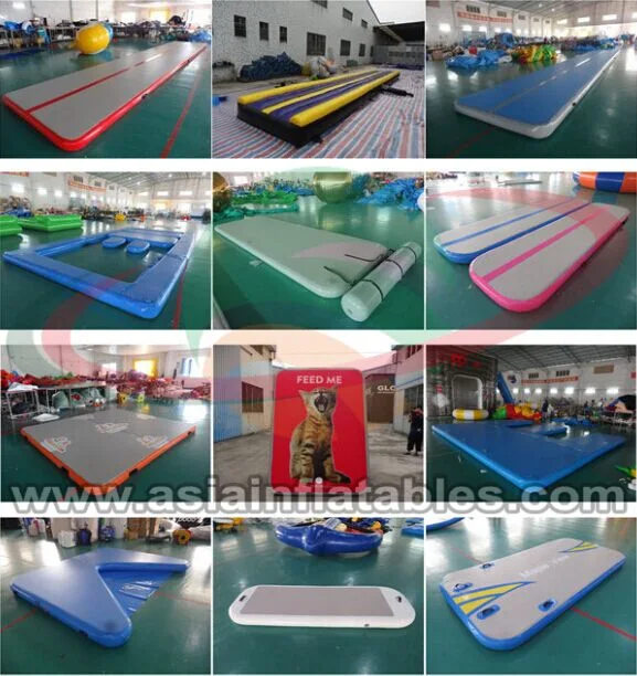 Customized Air Track Inflatable Gym Air Mat Floor Air Cushion