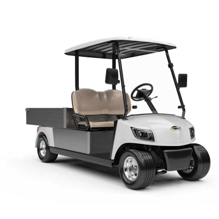 CE Approved Electric Utility Vehicle Utility Golf Car with Two Seats (DG-M2 + Cargo box)