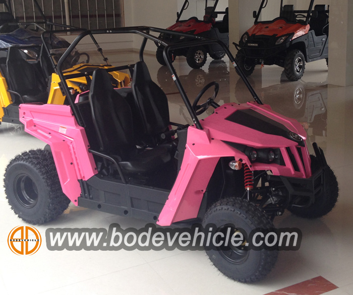 2017 Hot Selling Jeep UTV/150cc UTV/China UTV for Sale Mc-141