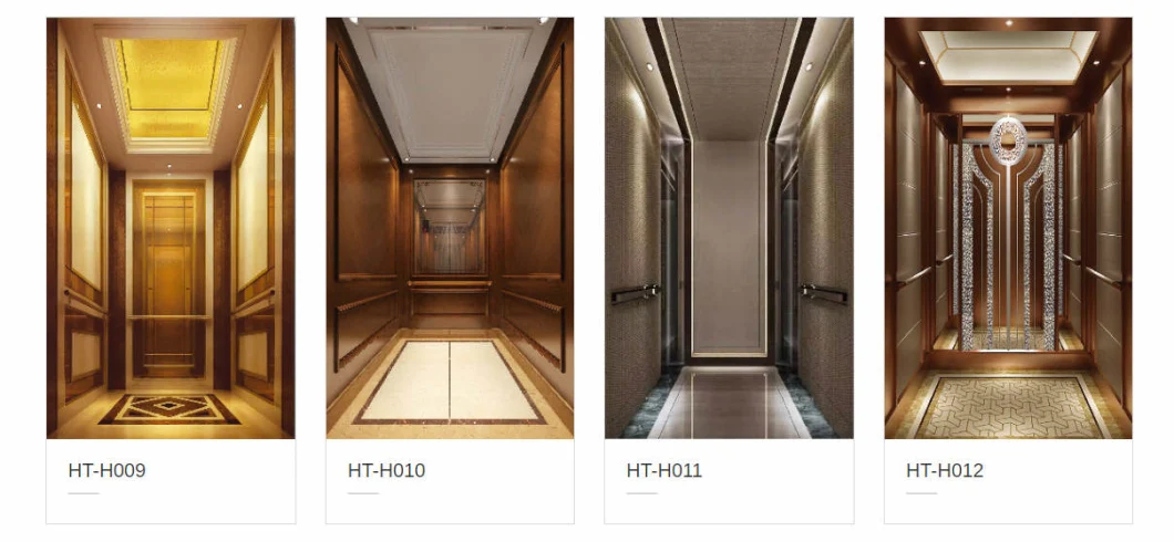 Golden Stainless Steel Mirror Home Panoramic 6 Person Passenger Villa Elevator Lift