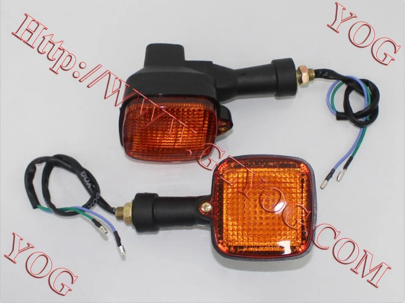 Yog Motorcycle Spare Parts Turning Light Winker Lamp Pathway Indicator for Cgw125 Elegant Dt200