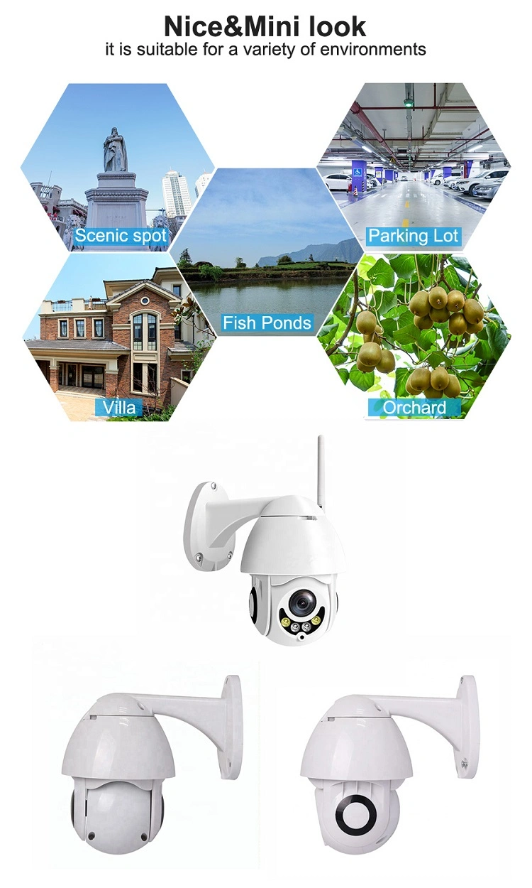 1080P Wireless Wdigital Cameraifi IP Mini Outdoor PTZ Dome Camera Wireless Camera WiFi Camera Night Vision Camera IP Camera CCTV Camera