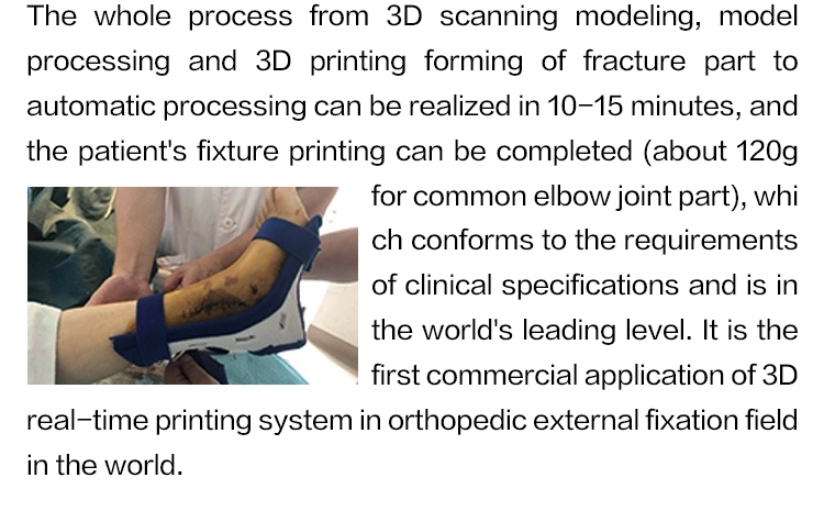 Orthopedics External Fixation 3D Printer/Medical Industries 3D Printer