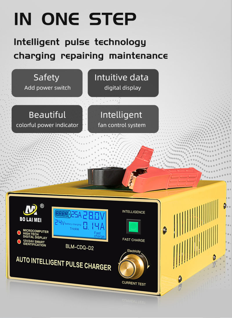 2020 New Product 12V 24V 30A Battery Charger Rechargeable Fast Charging Battery Charger