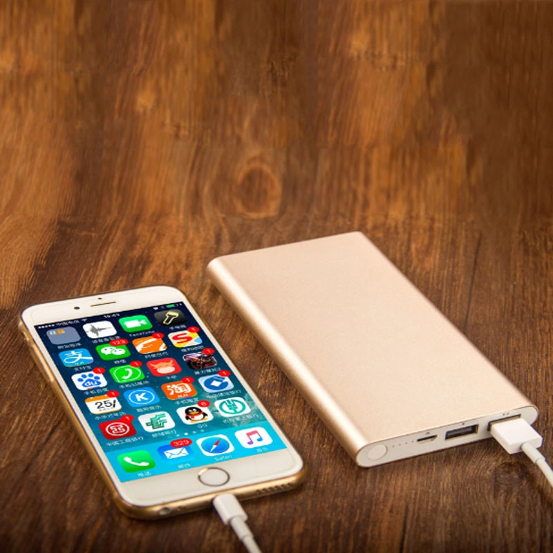 Two USB Output Portable Mobile Power Supply Smartphone Universal Mobile Power Bank 10000 mAh