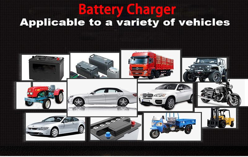 Customized Fast Charging Lead Acid Alkaline Battery Charger