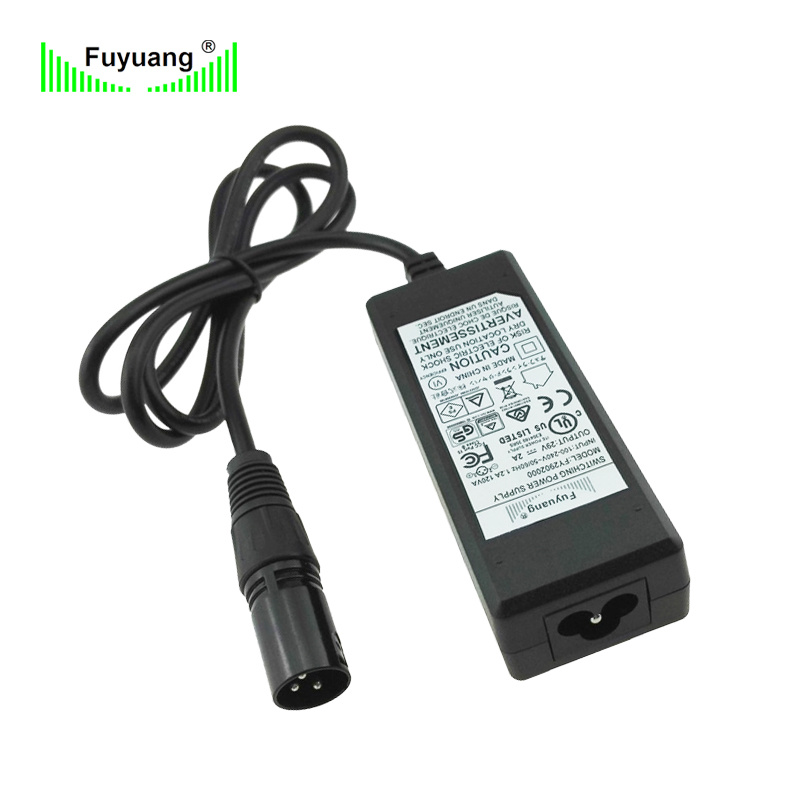 Smart Balance E Rickshaw Battery Charger for Lithium Ion Battery Charger