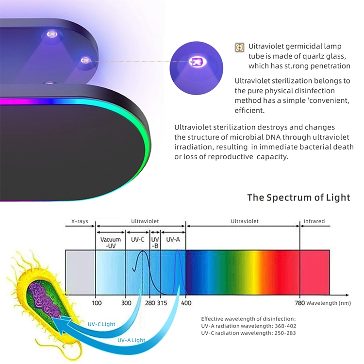 New Arrival Qi Wireless Charger UV Sterilizer 4 in 1 Wireless Charger Wireless Charger UV Sterilizer