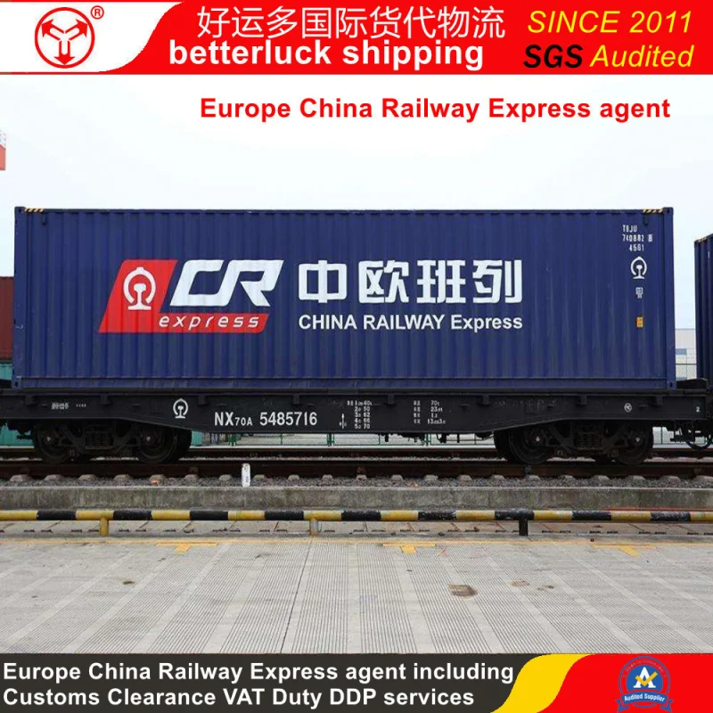 Sea Freight from China to Cairo Egypt