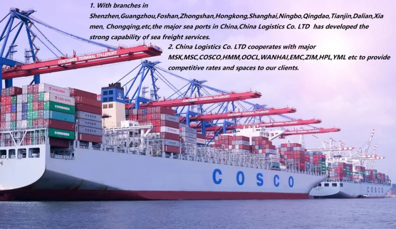 From China to Caucedo/Itajai Seaport FCL Container Shipping Freight