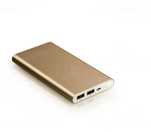 Two USB Output Portable Mobile Power Supply Smartphone Universal Mobile Power Bank 10000 mAh